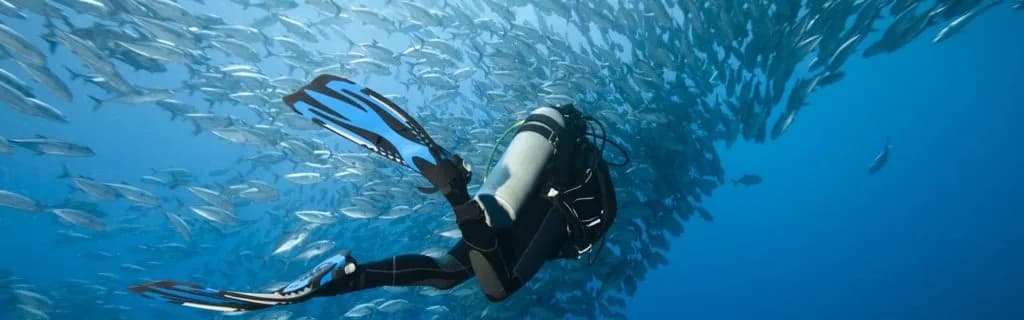 Alpha World Diving
