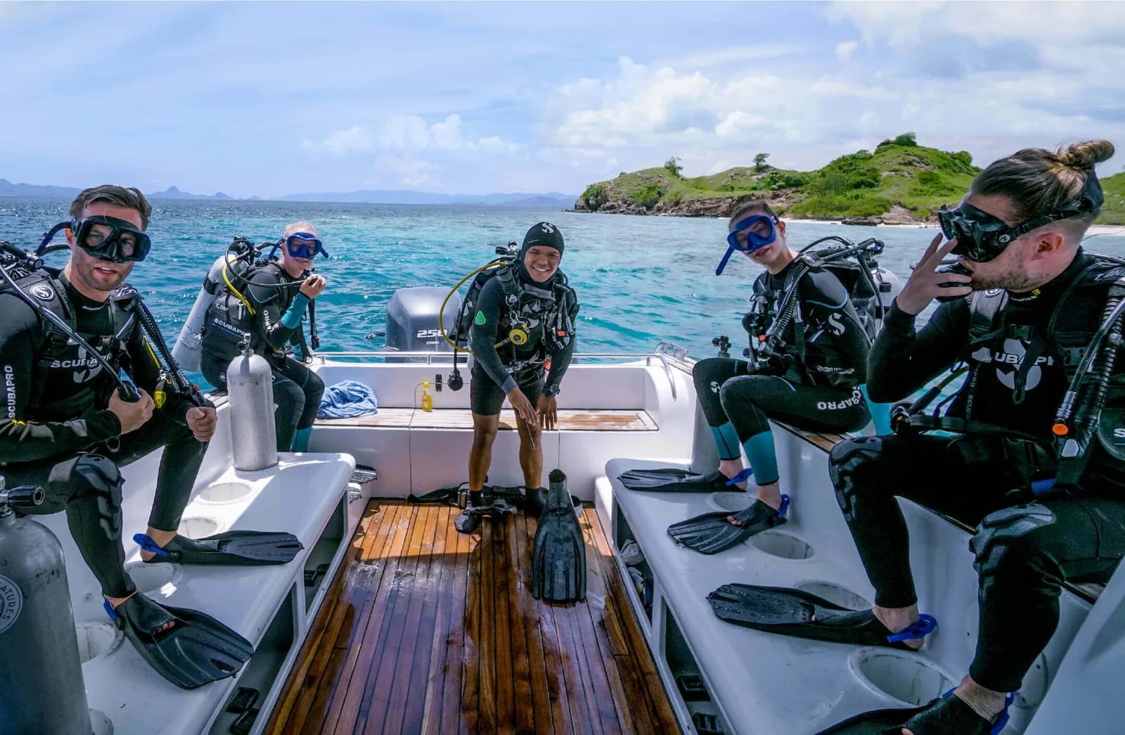 Sea Creatures Diving
