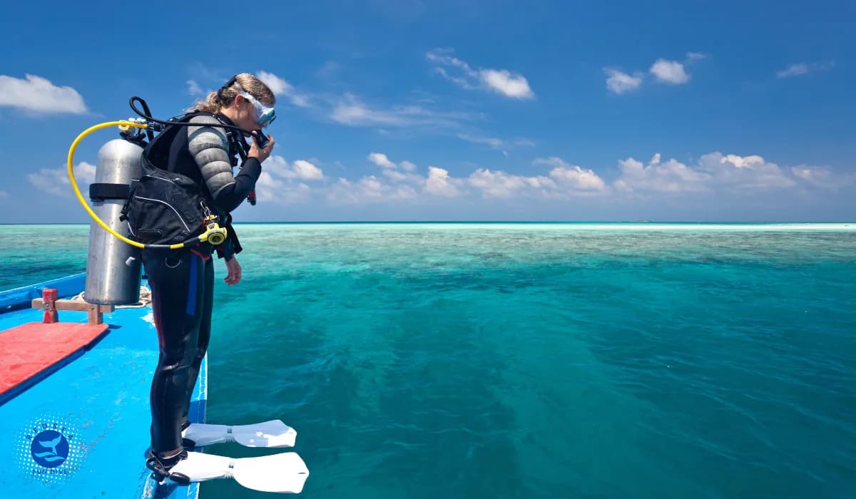 Red Sea Fun Dive