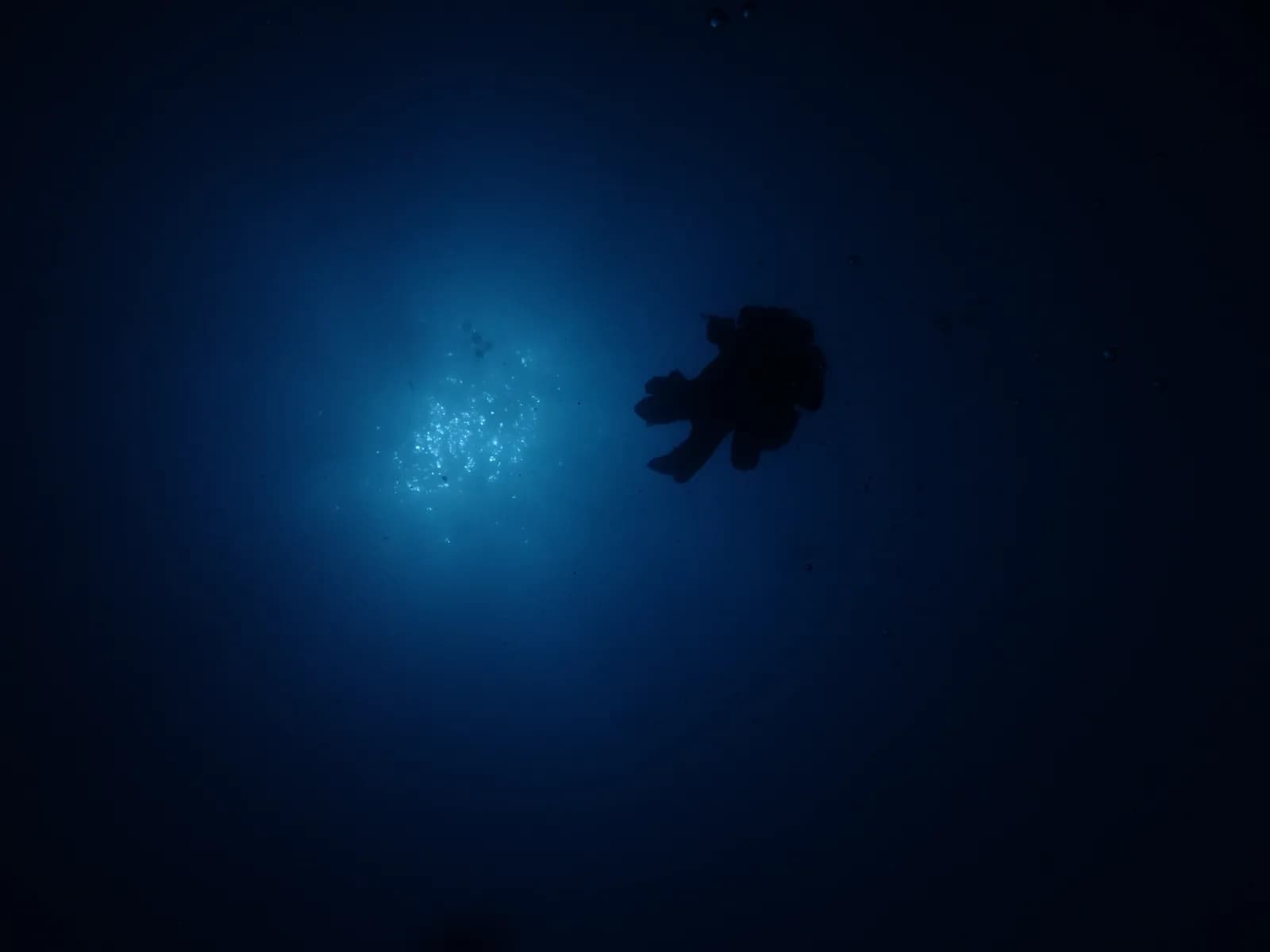 SeaXplore Dive Center