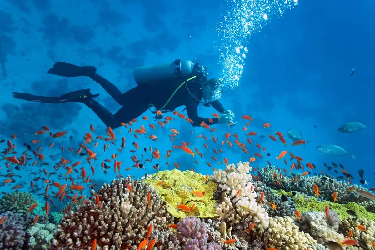 SeaMax Sharm