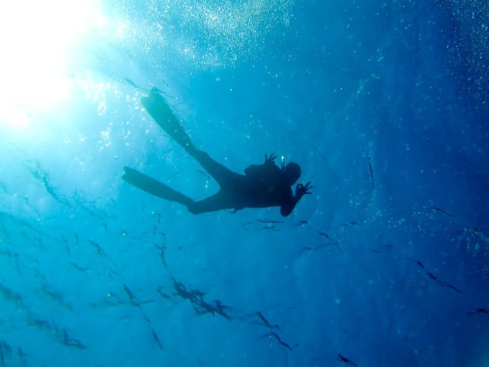 Black Rock Dive Centre, Renate Emmler