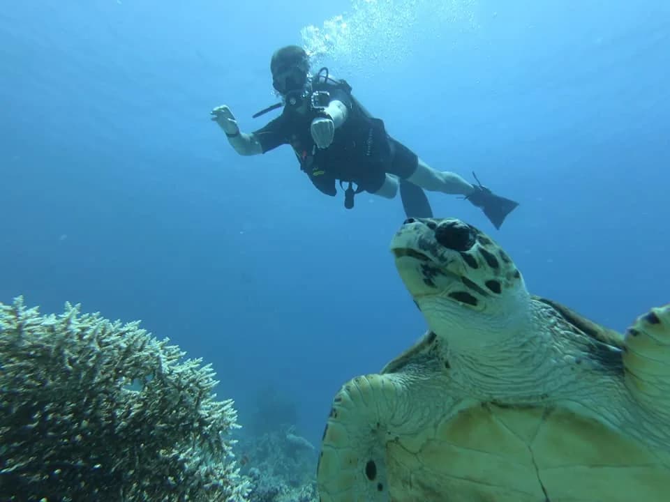 Dive For Life