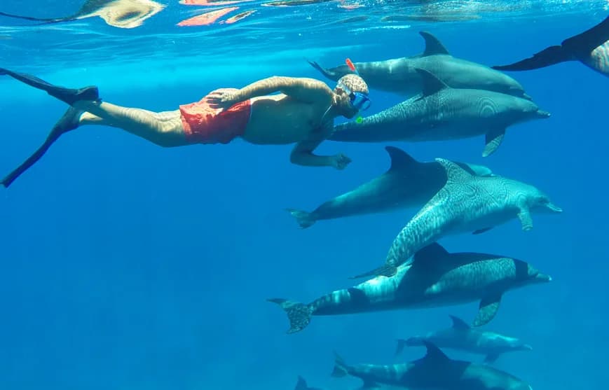 Be Diver