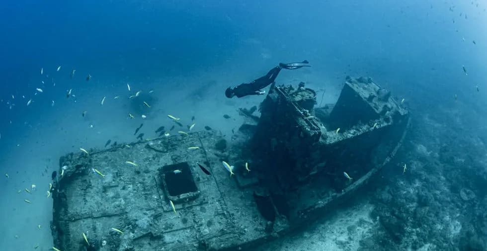 Freedive Nosy Be