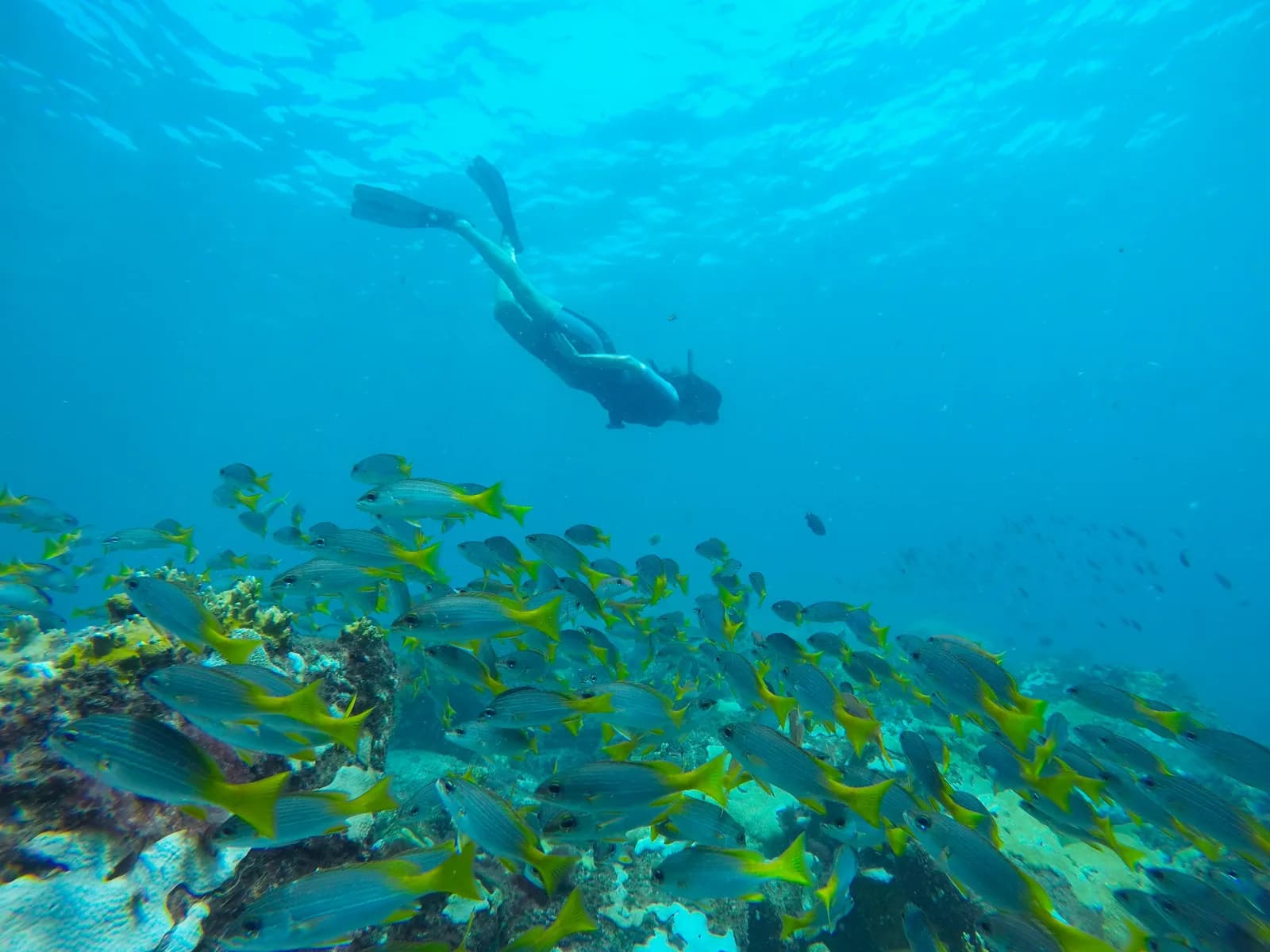 AllBlue Cabo Verde