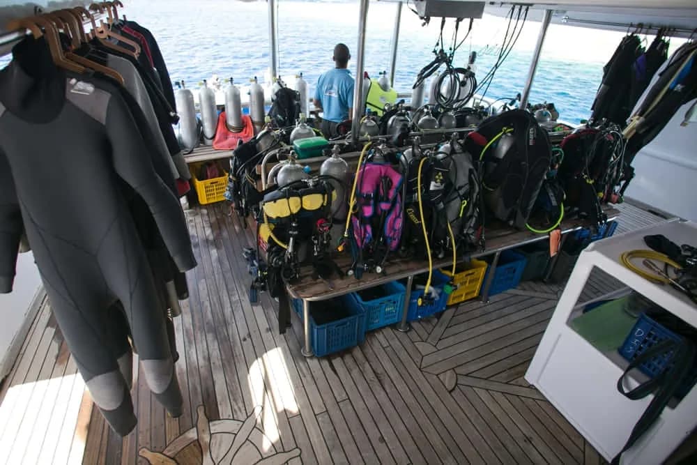 Dpm Diving Koh Tao