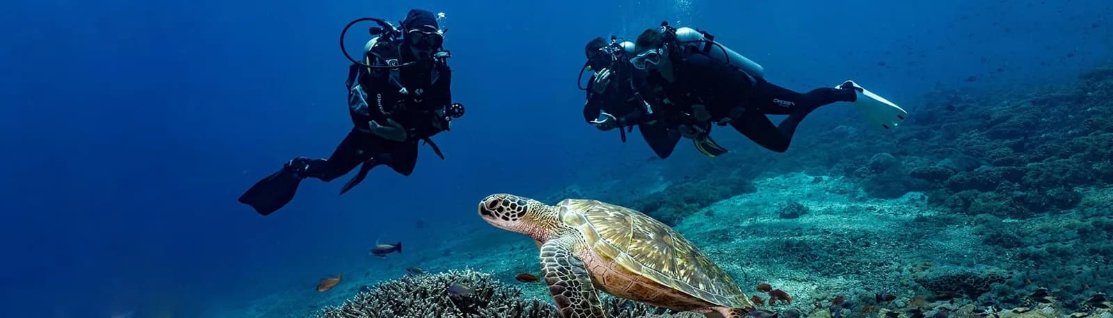 Dive Concepts Lembongan