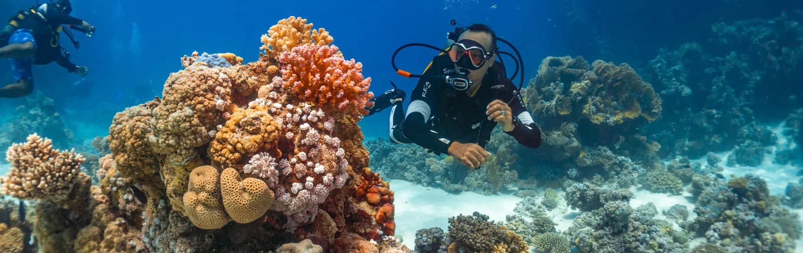 Al-Haddad Scuba
