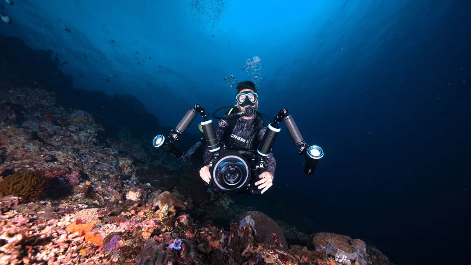 Pure Dive Resort