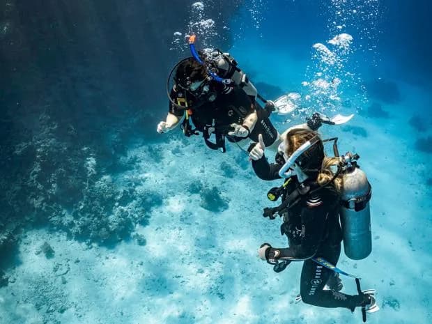 Future Experts Diving Academy, Mermates Club