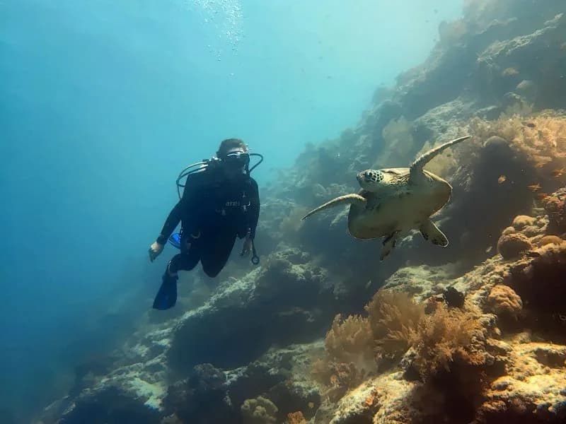 Opaw Diving Center, Opaw Diving Camiguin