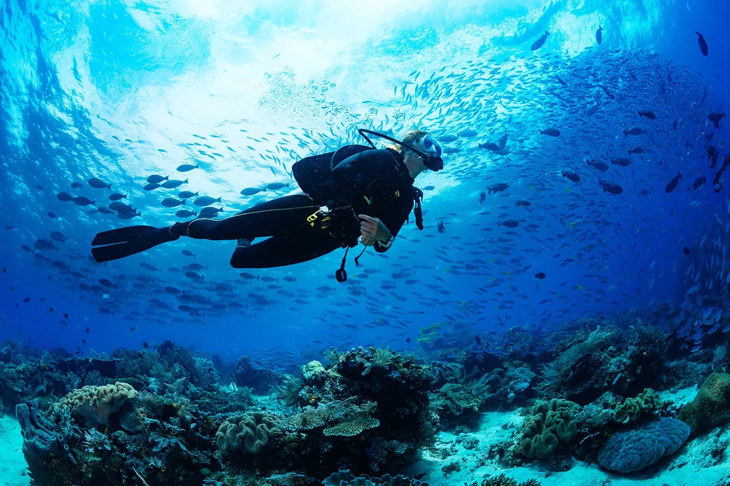 Mactan Scuba Dive Center