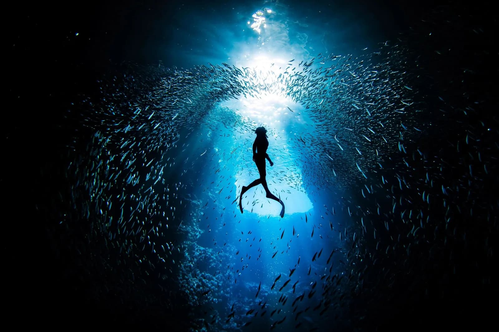 Mystic divers