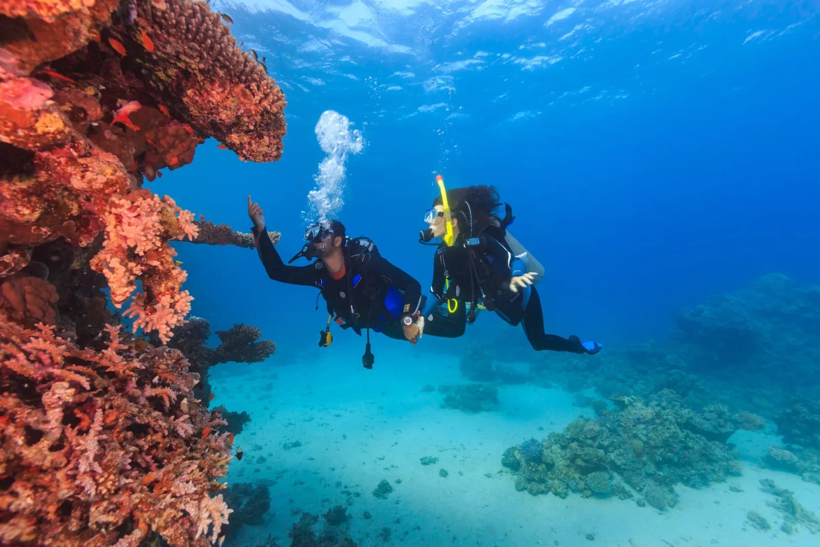 Sirolodive