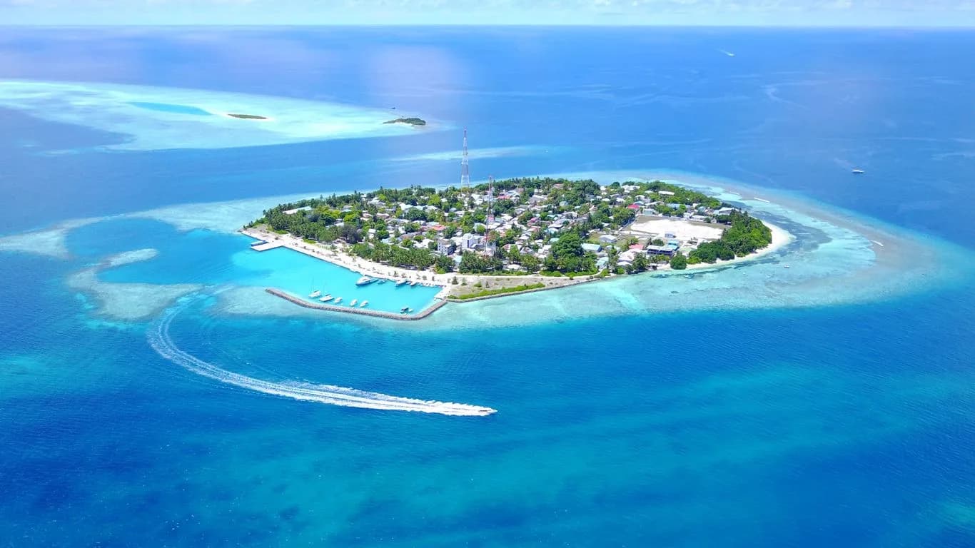 Drop Dive Maldives