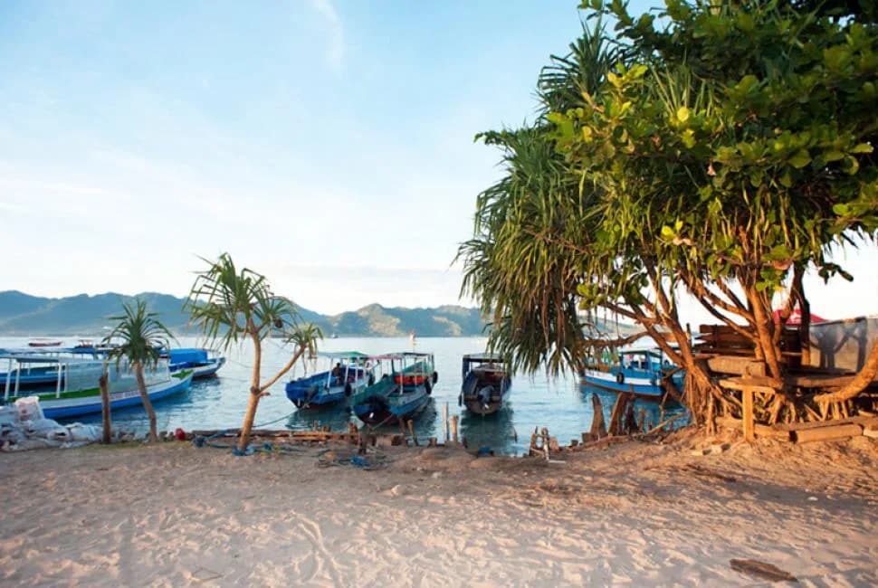 Manta Dive Gili Air