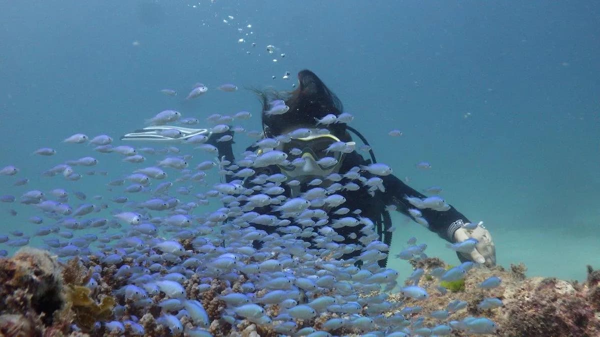 Uruma Scuba