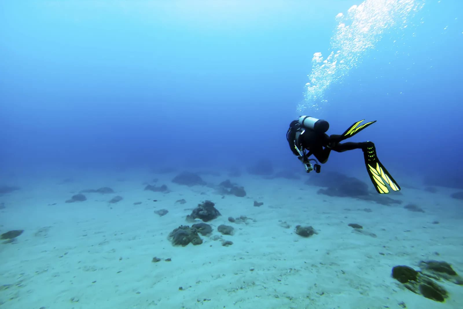 Dive Goa