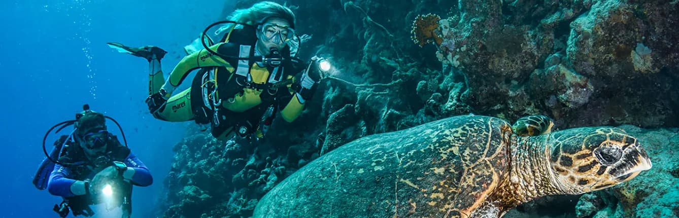 Central Coast Divers