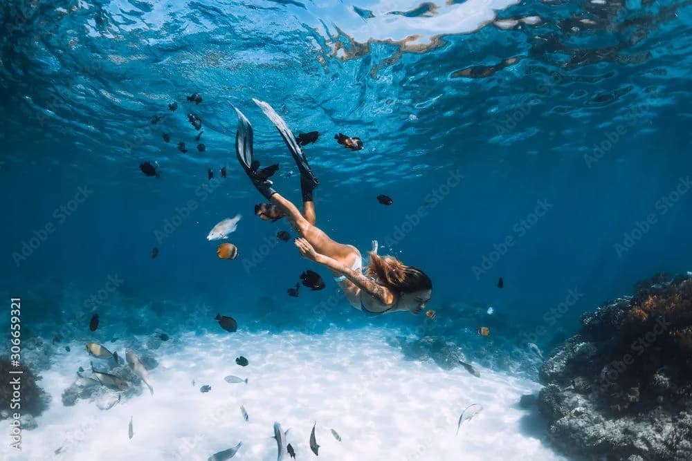 Dive Near Me