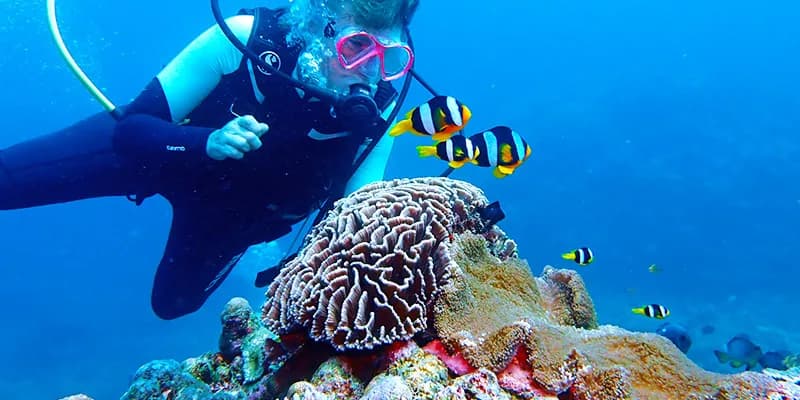Big Blue Vanuatu