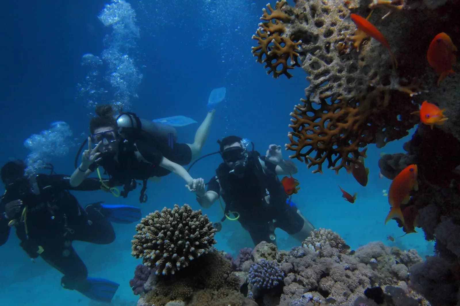 Diving Center Tarraco