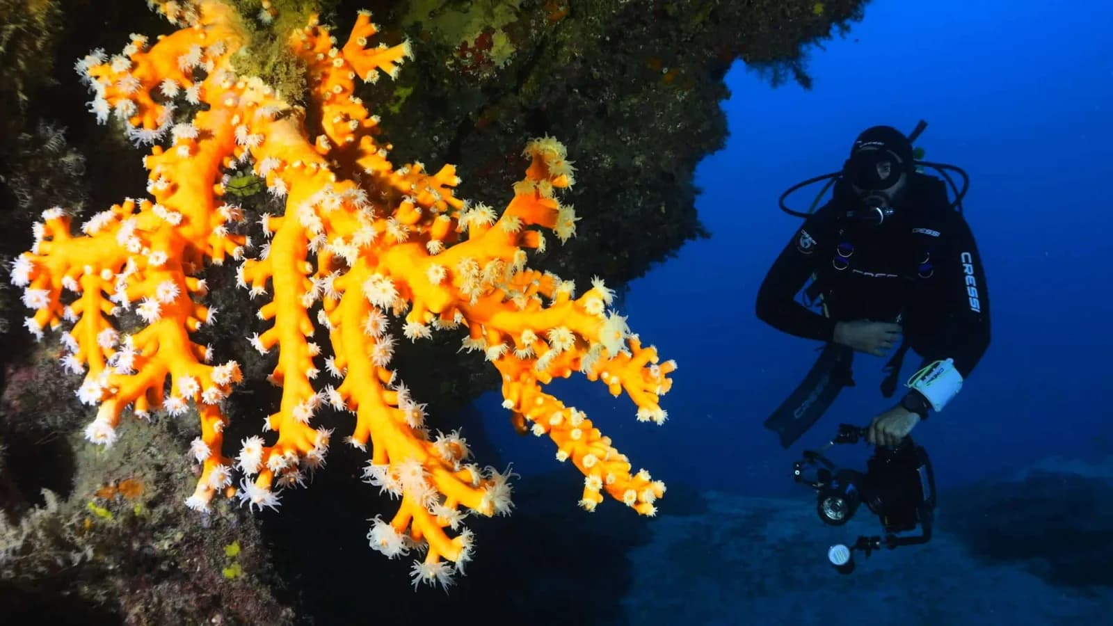 Scuba School Lanzarote