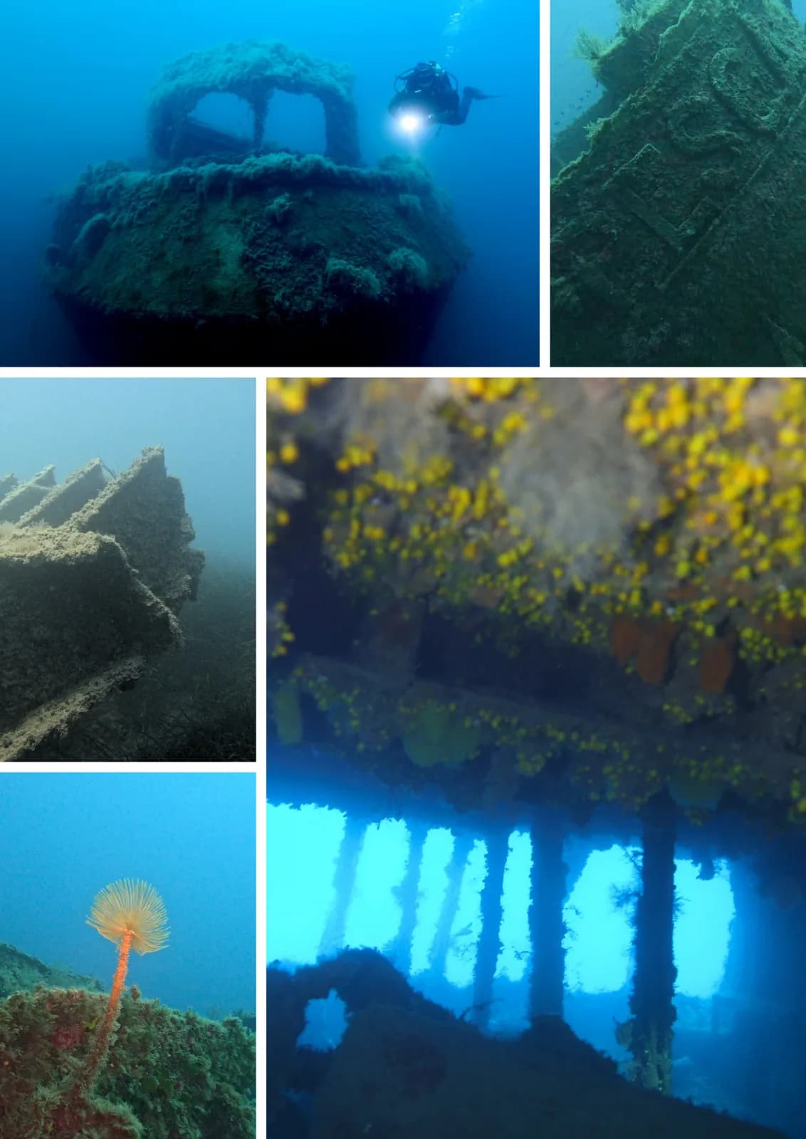 Diving Degli Etruschi