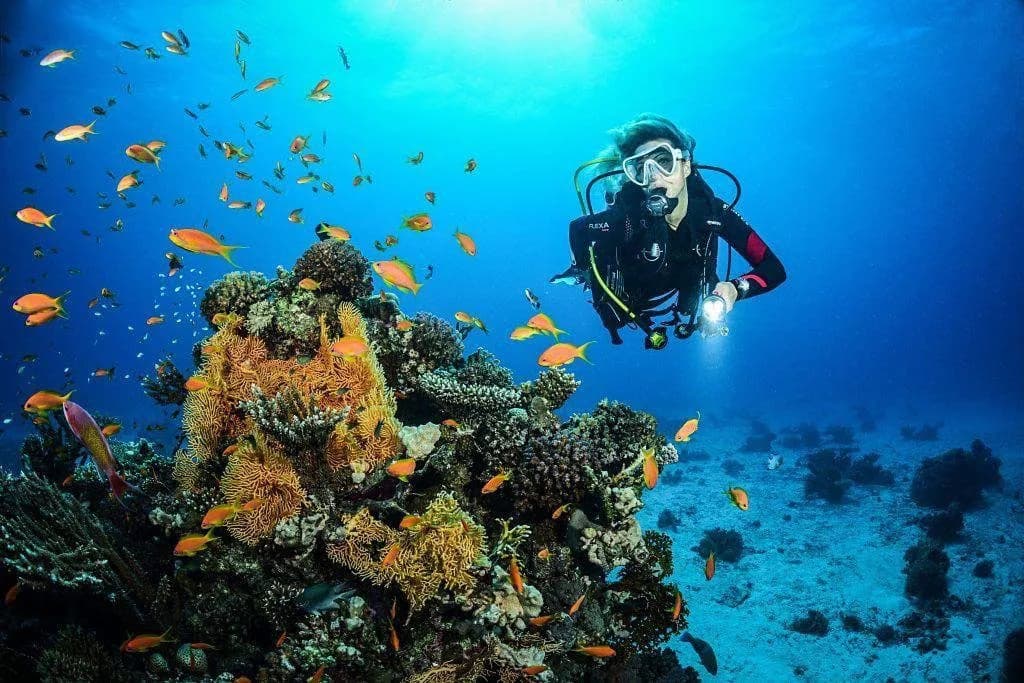 SANTORINI  SCUBA  ACADEMY