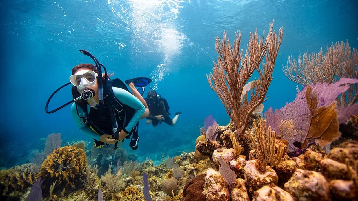 Excel Scuba Tenerife