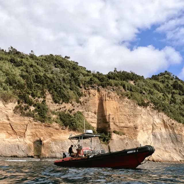 Azores Diving