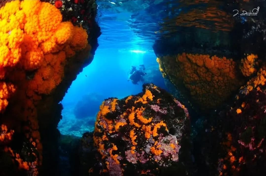 Buceo España