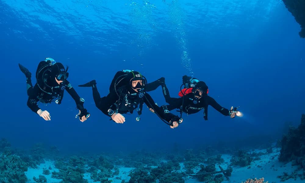 Submersus - Clube de Mergulho