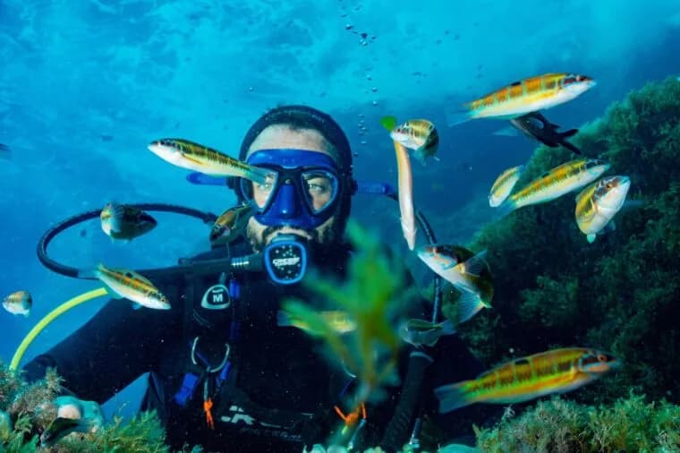 MALLORCA DIVING ADVENTURE