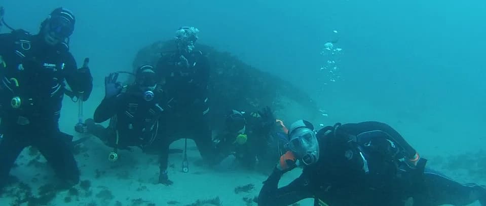 Puertobuceo
