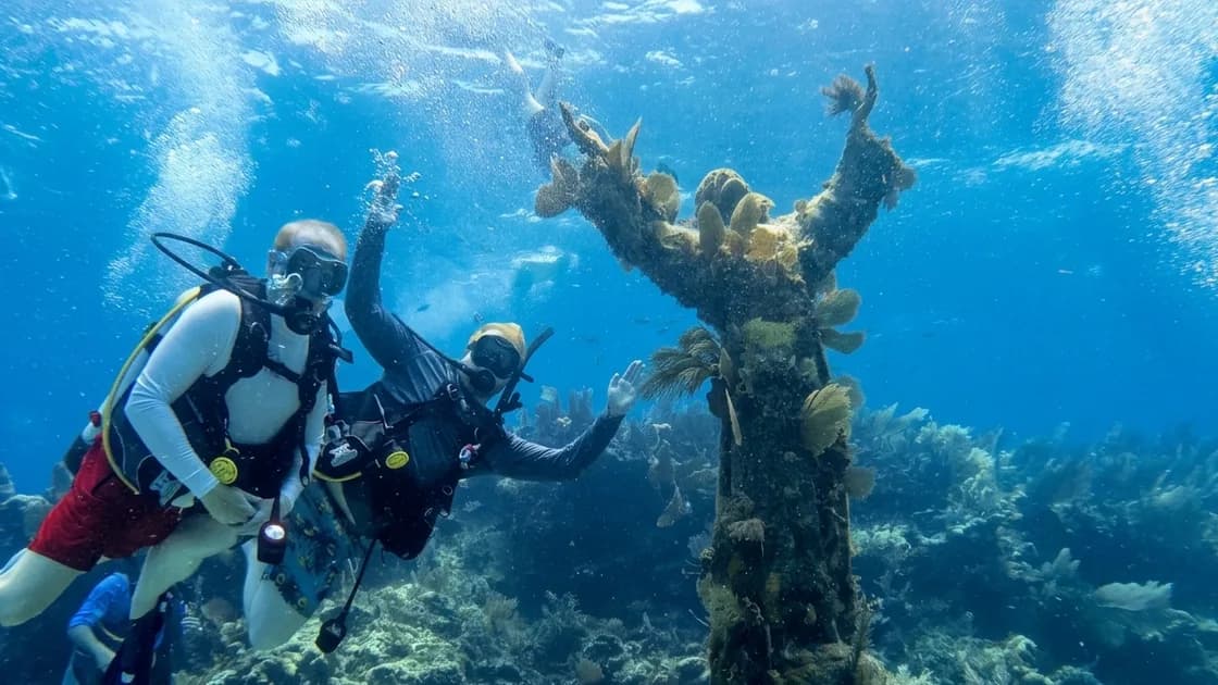 Sea Dwellers Dive Center