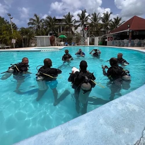 Dominican Divers