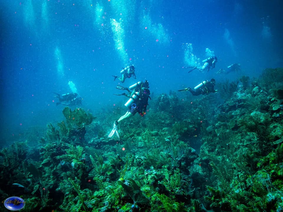 Elite Adventures Belize, Ltd
