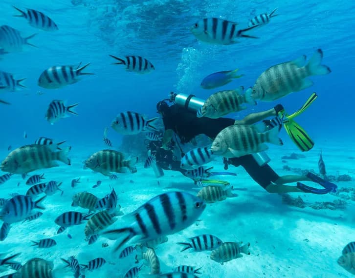 Bora Ocean Adventures, Remy Crapet