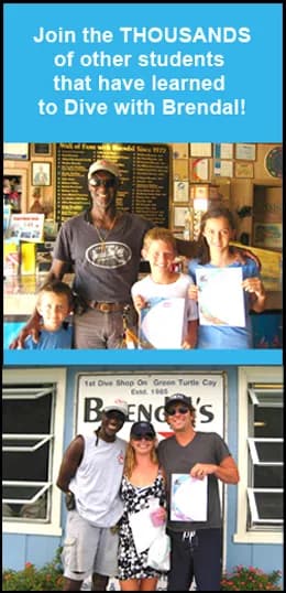 Turtle Caye - Brendal's Dive Center