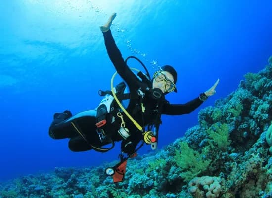FlyingFish Scuba School, Puneet Gautam