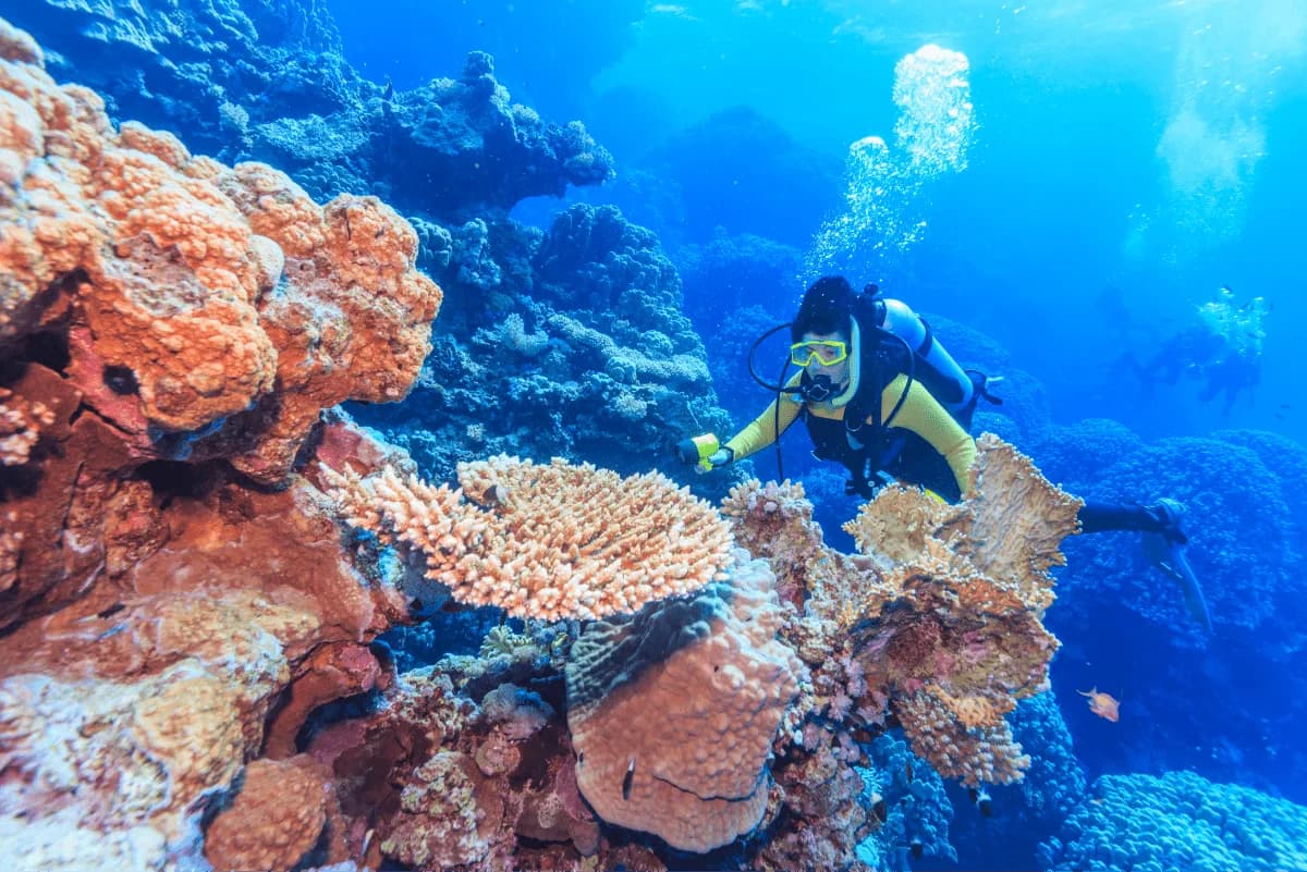 Ocean Tribe Scuba, Dickson Poayesay