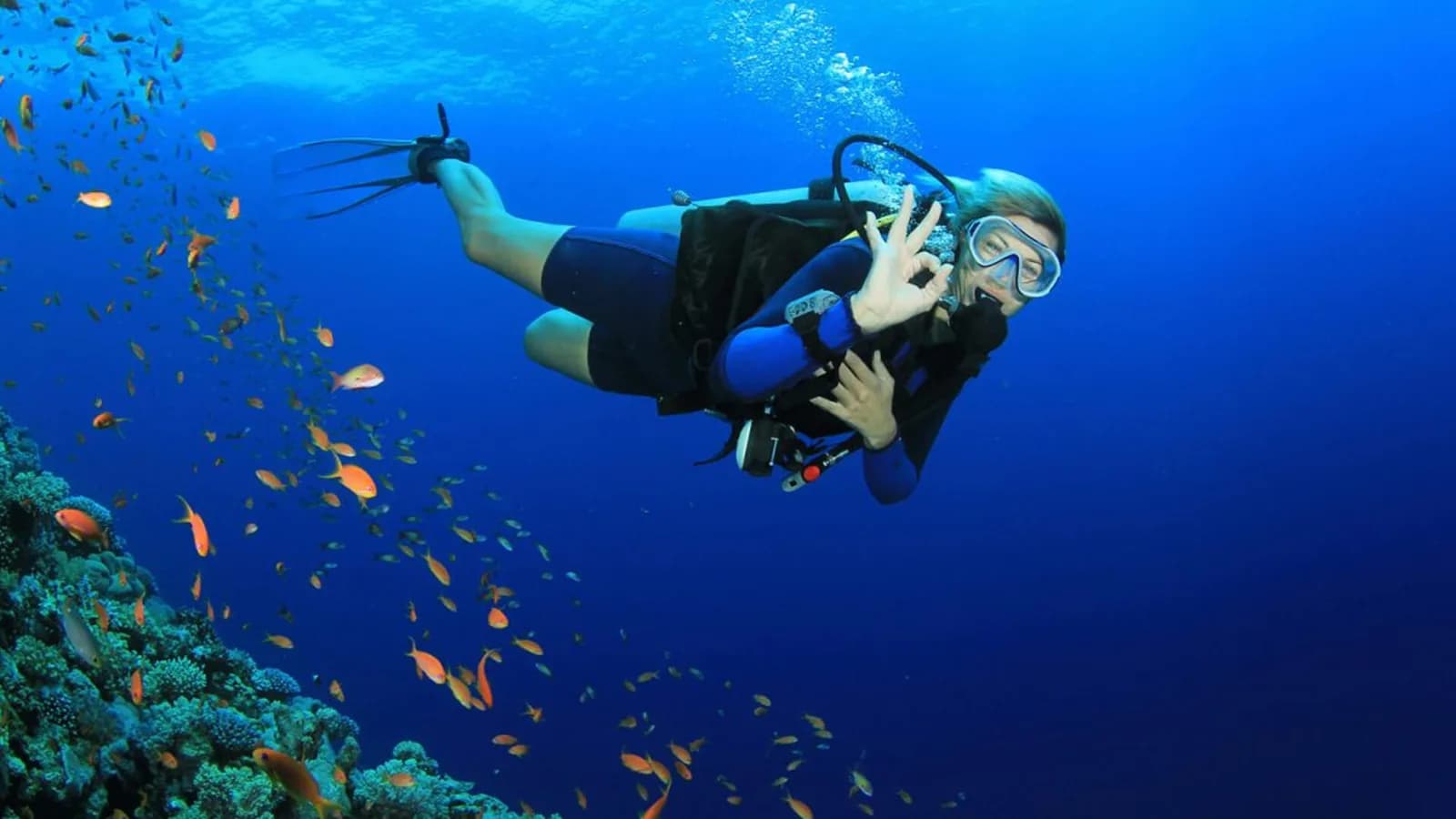 Scuba Cochin