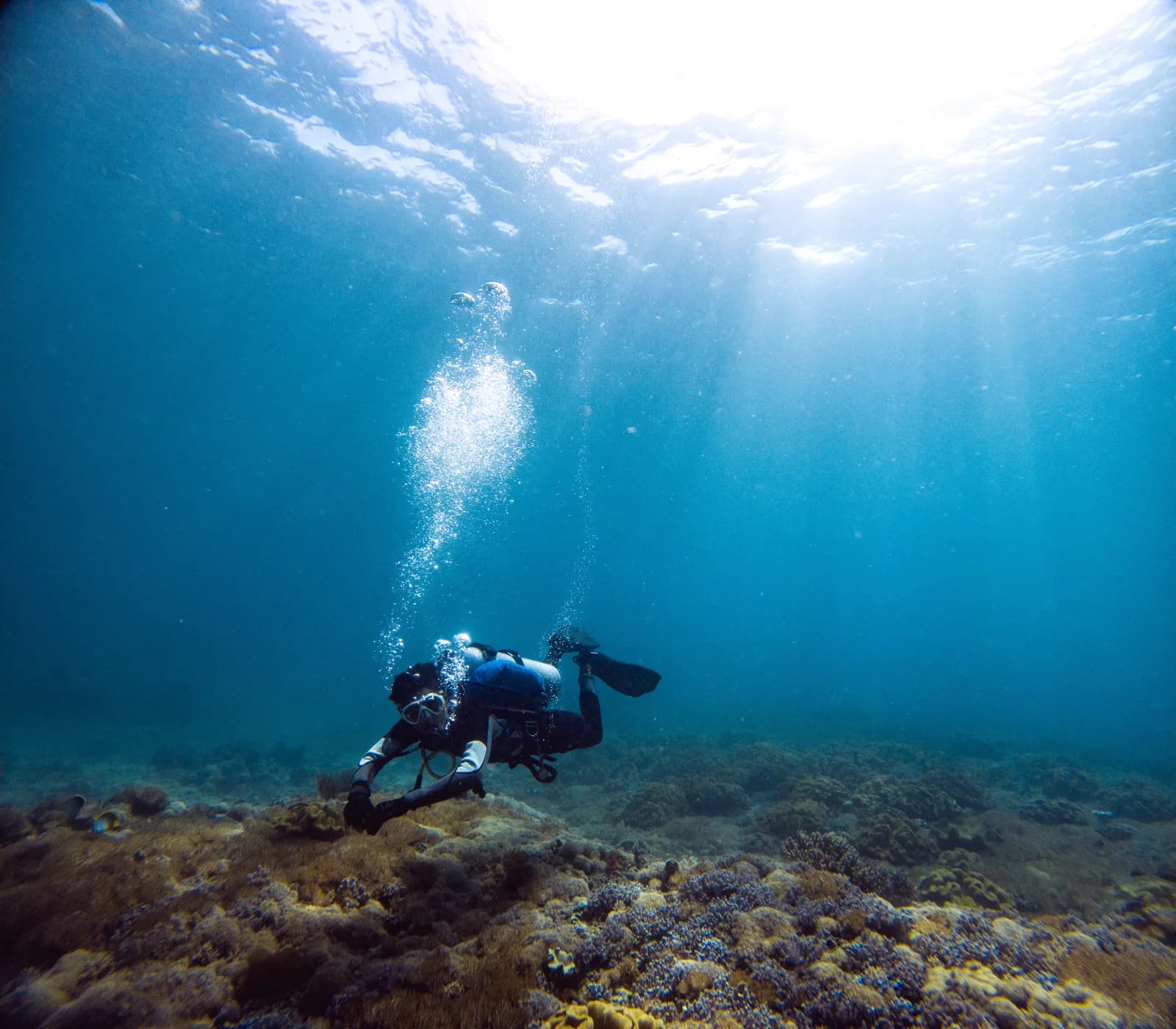 Livingseas