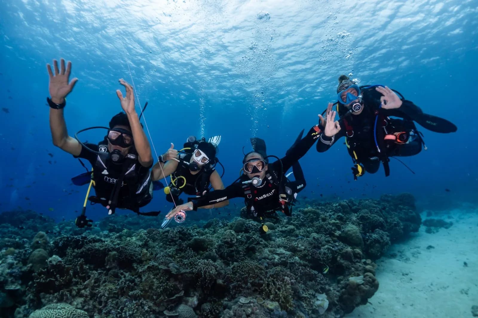 Mango Dive & Bungalow