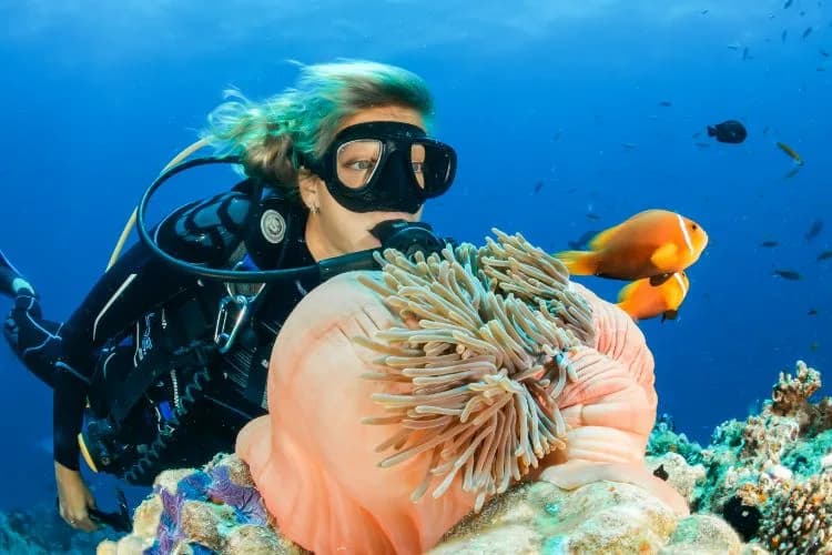 Nusa Penida Dive Center