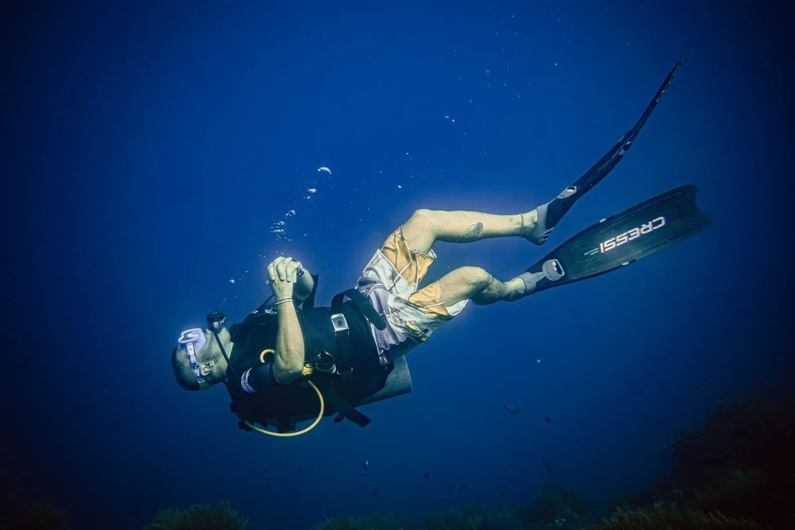 DIVEONESIA