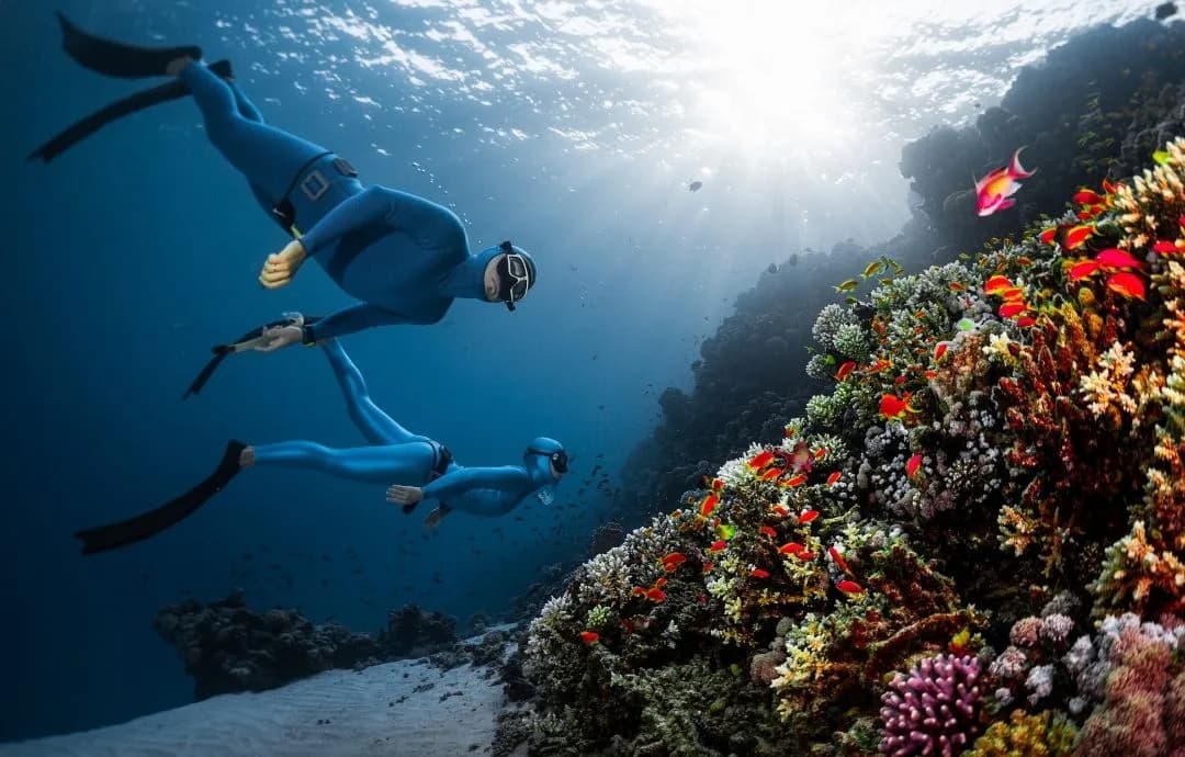 Freedive Nusa