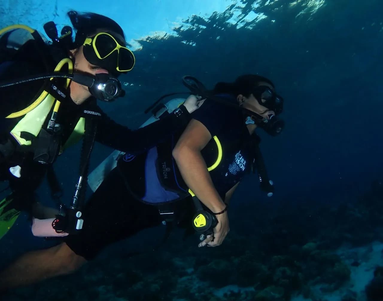 Pusat Selam Lampung, Lampung Dive Center